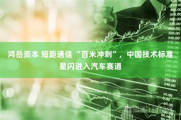 鸿岳资本 短距通信 “百米冲刺”，中国技术标准星闪进入汽车赛道