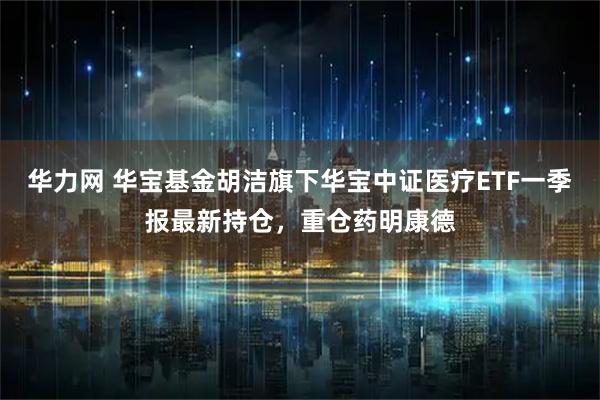 华力网 华宝基金胡洁旗下华宝中证医疗ETF一季报最新持仓，重仓药明康德