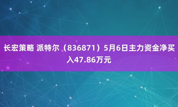 长宏策略 派特尔（836871）5月6日主力资金净买入47.86万元