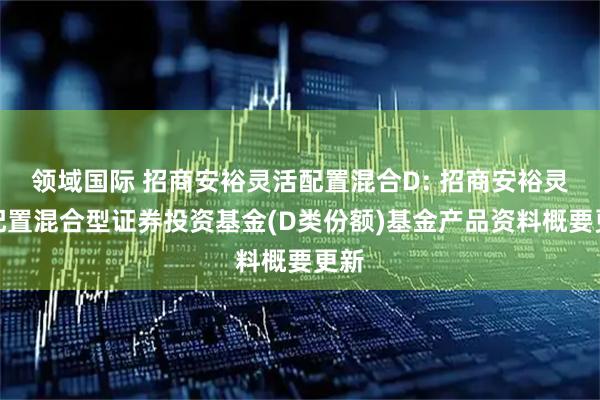领域国际 招商安裕灵活配置混合D: 招商安裕灵活配置混合型证券投资基金(D类份额)基金产品资料概要更新