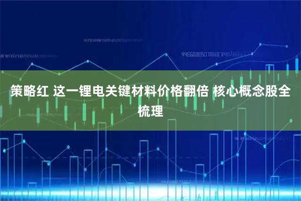 策略红 这一锂电关键材料价格翻倍 核心概念股全梳理