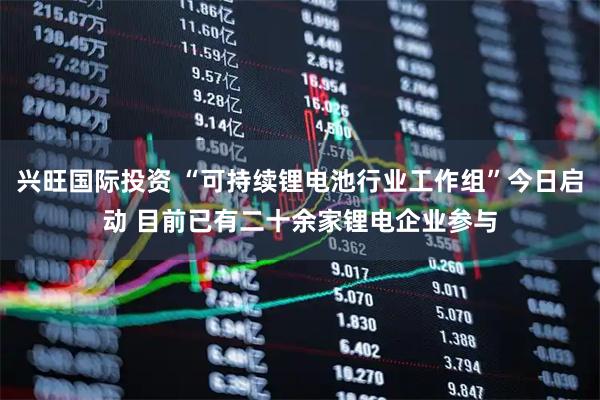 兴旺国际投资 “可持续锂电池行业工作组”今日启动 目前已有二十余家锂电企业参与